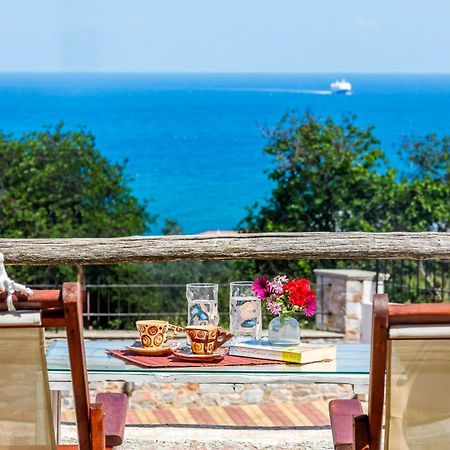 Naiades Superior Apartments In Skopelos With Sea View Close To The Town Экстерьер фото